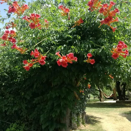 Le Des 3 Saules 펜션 Saint-Savinien